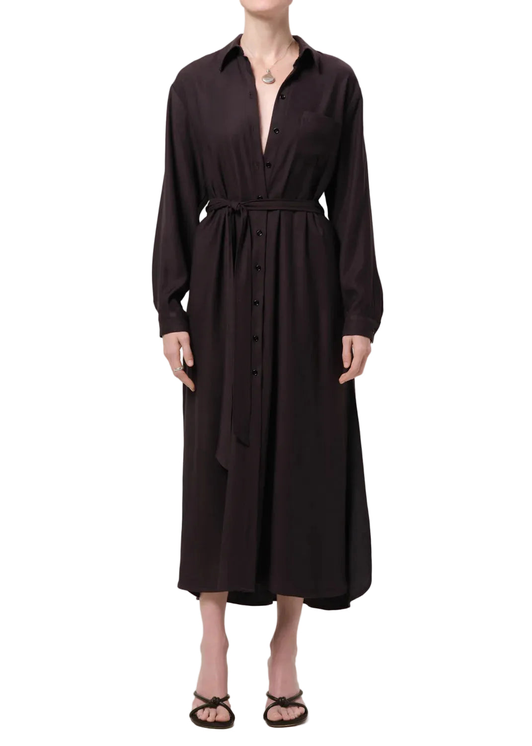Camillia Shirt Dress by Citizens of Humanity in brown, front view