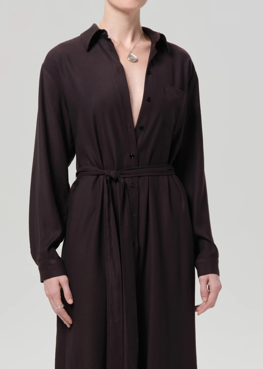 Camillia Shirt Dress by Citizens of Humanity in brown, back view