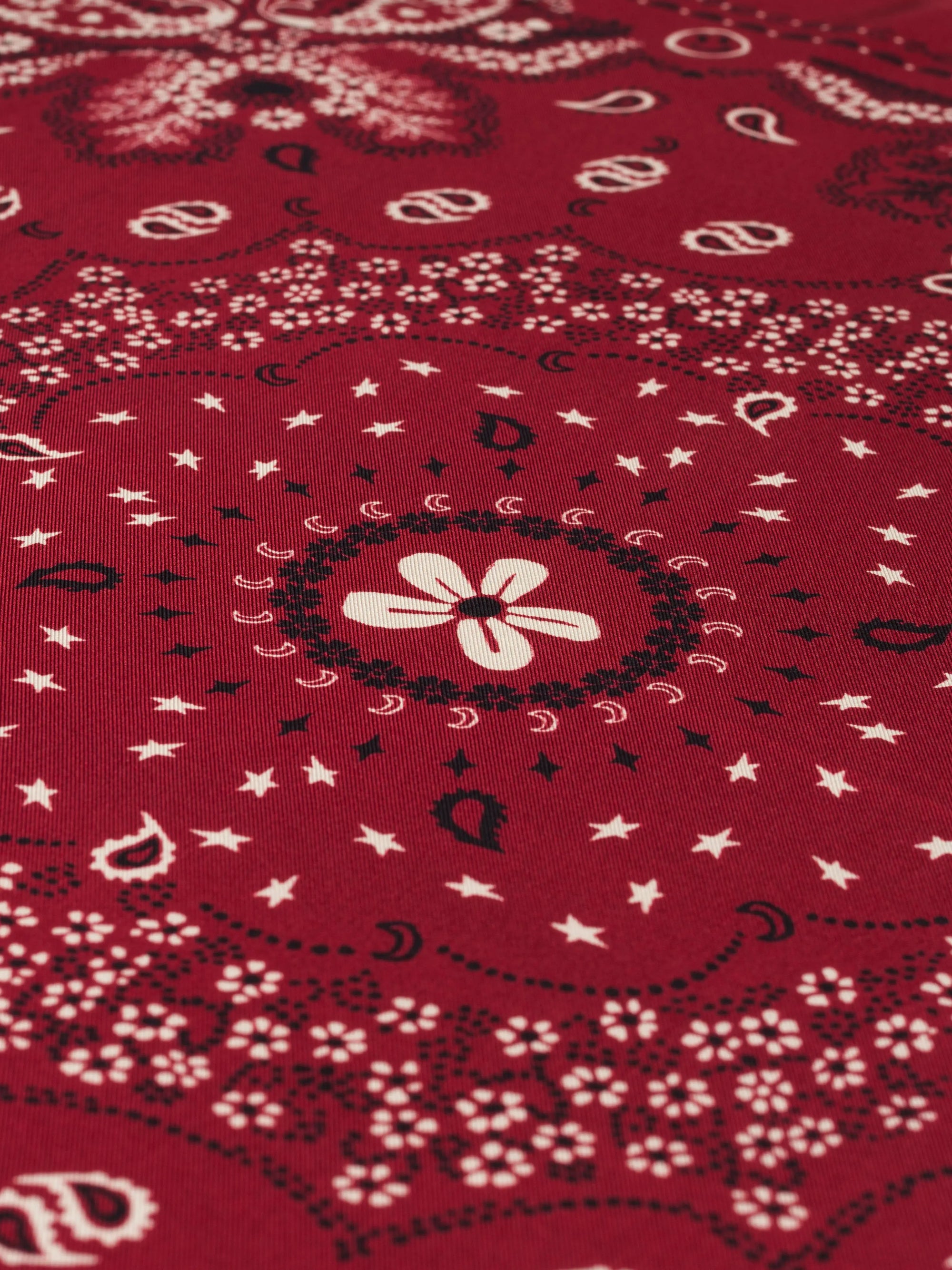 Bandana Small - New