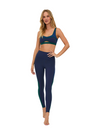 BEACH RIOT PAMILA LEGGINGS
